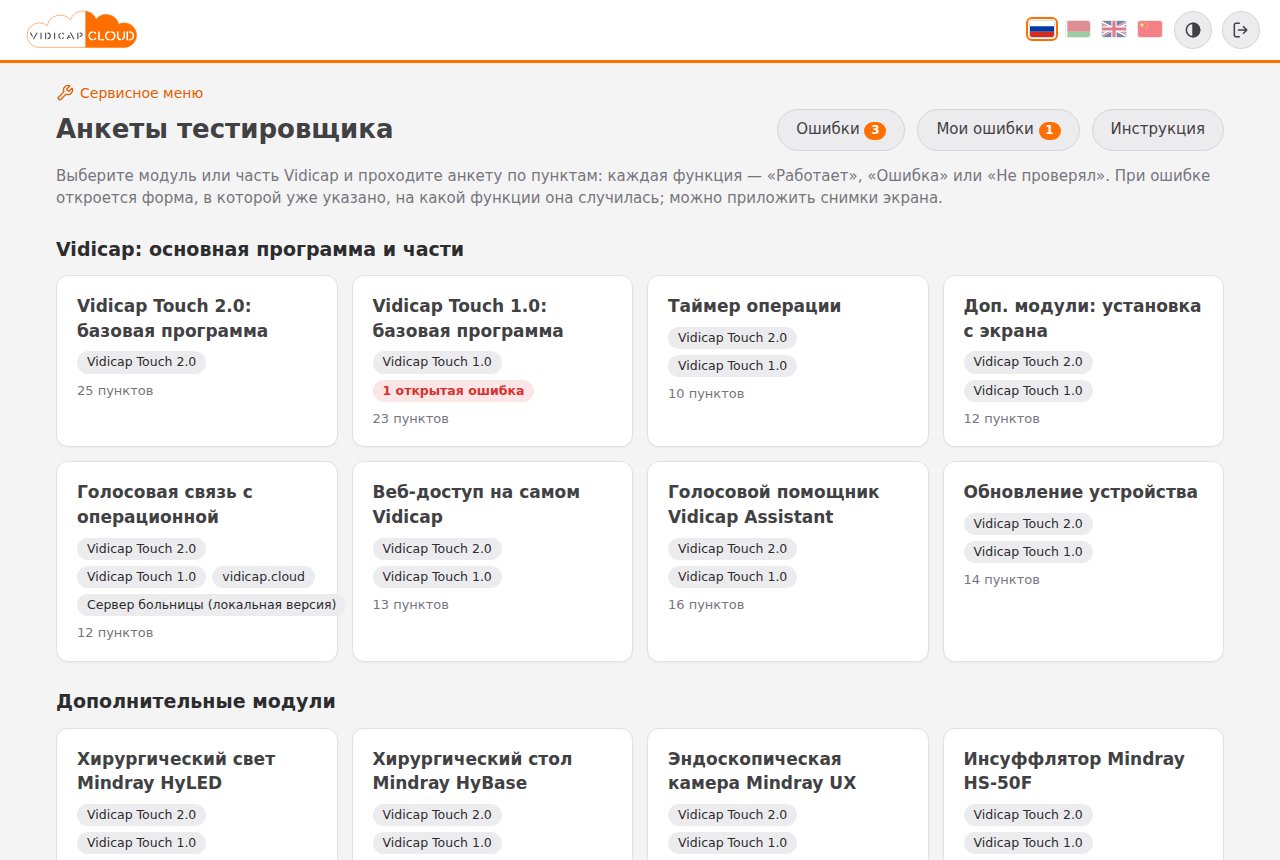 Анкеты тестировщика: все модули и части Vidicap