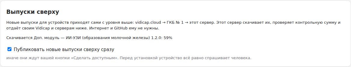 Карточка «Выпуски сверху» на сервере больницы